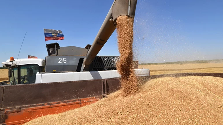 ⚡️Минсельхоз РФ рассчитывает на сбор 125-127 млн т зерна в 2023 году