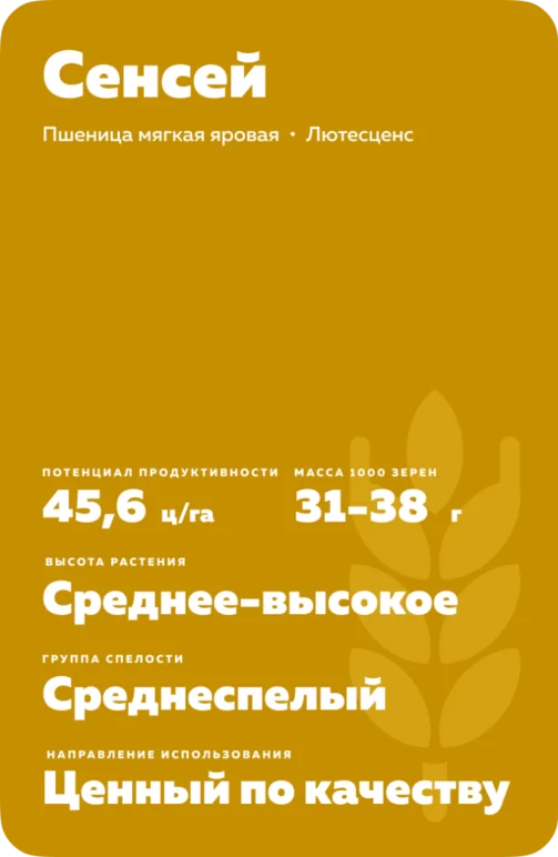 Сенсей