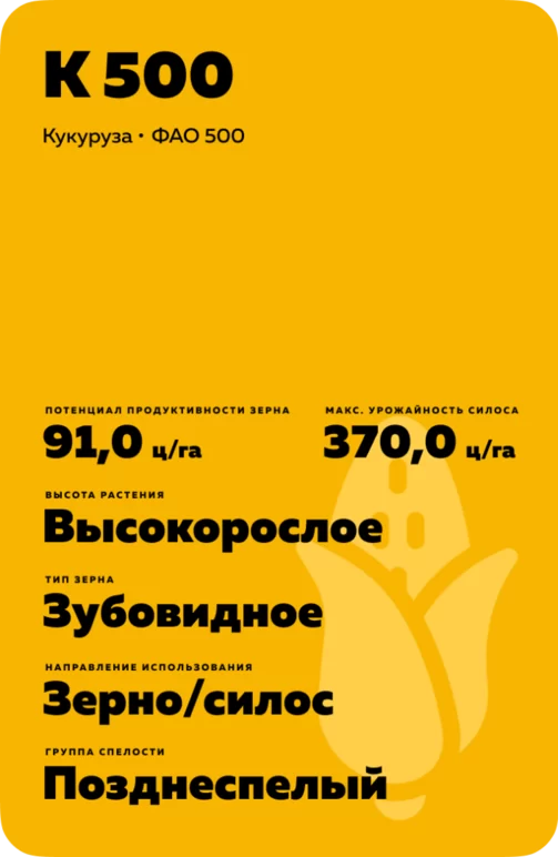 К 500 гибрид кукурузы