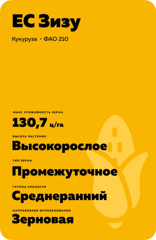 ЕС Зизу (ES ZIZOU)