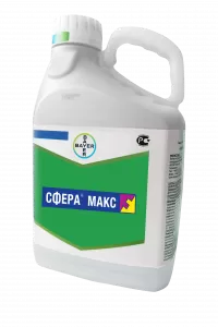 Сфера макс, КС