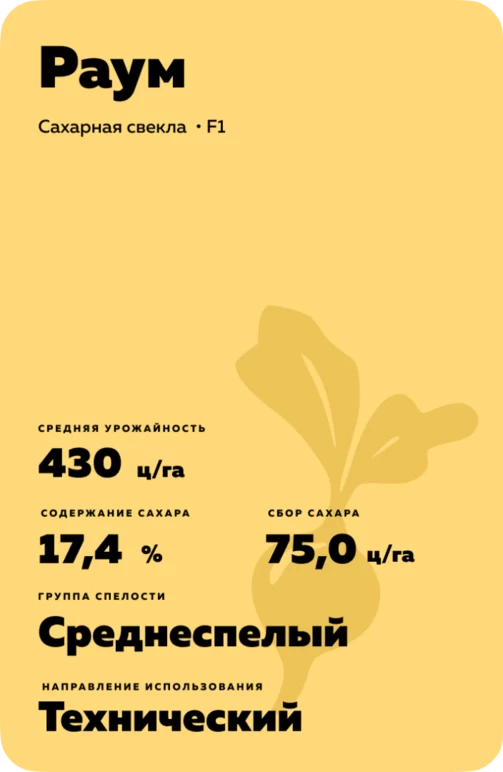 Раум гибрид сахарной свеклы