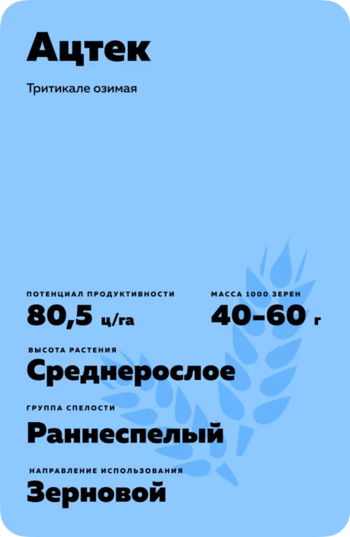 Ацтек сорт тритикале озимой