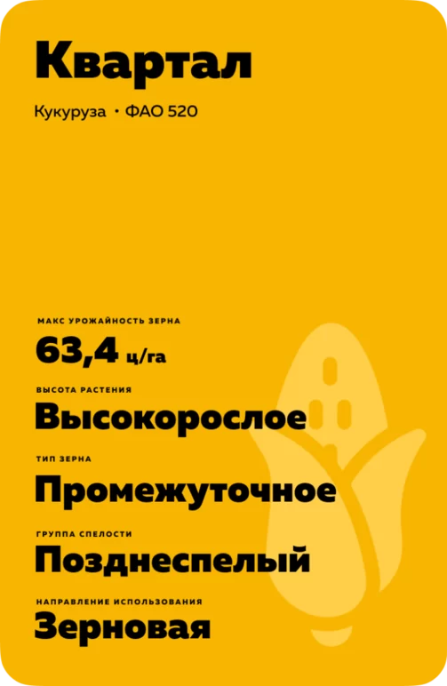 Квартал (CUARTAL)