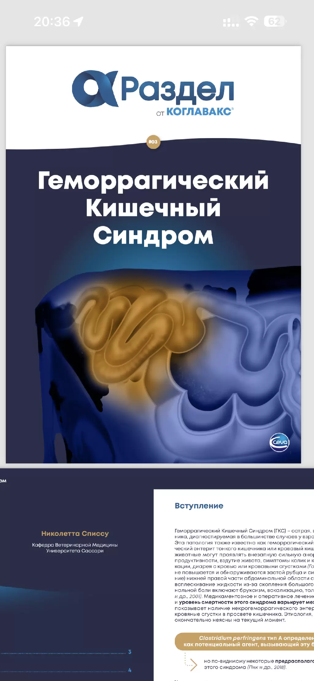 Немного о вакцинах от клостридиальных инфекций.