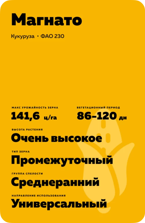 Магнато (MAGNATO) гибрид кукурузы