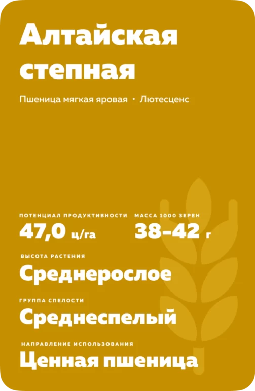Алтайская степная