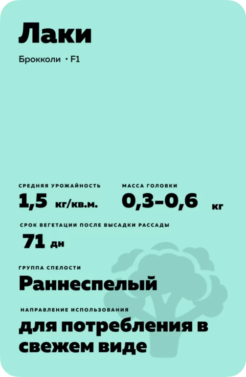 Лаки гибрид брокколи