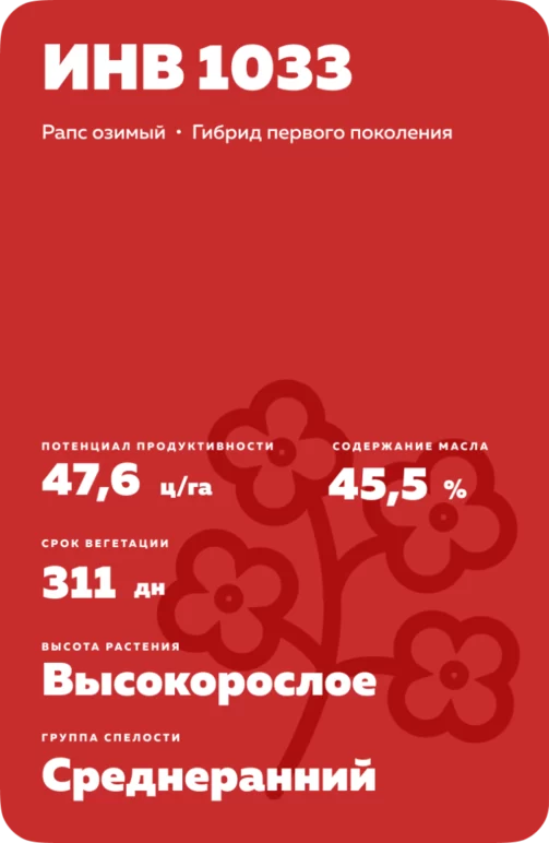 ИНВ 1033 (INV 1033) рапс озимый
