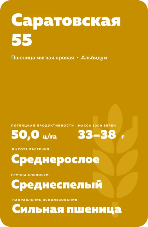 Саратовская 55 сорт мягкой яровой пшеницы