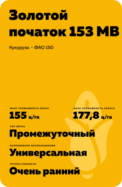 ЗОЛОТОЙ ПОЧАТОК 153 МВ - гибрид кукурузы ( Zea mays L.).