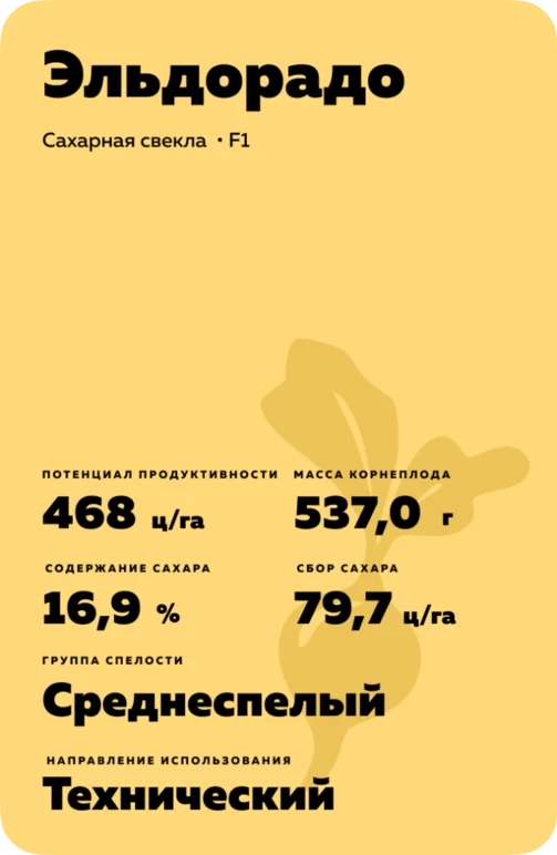 Эльдорадо