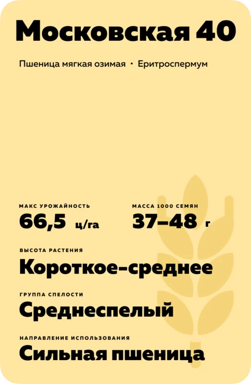 Московская 40 ® сорт мягкой озимой пшеницы
