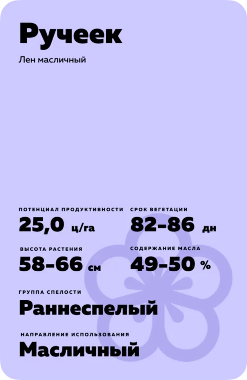Ручеек сорт льна масличного