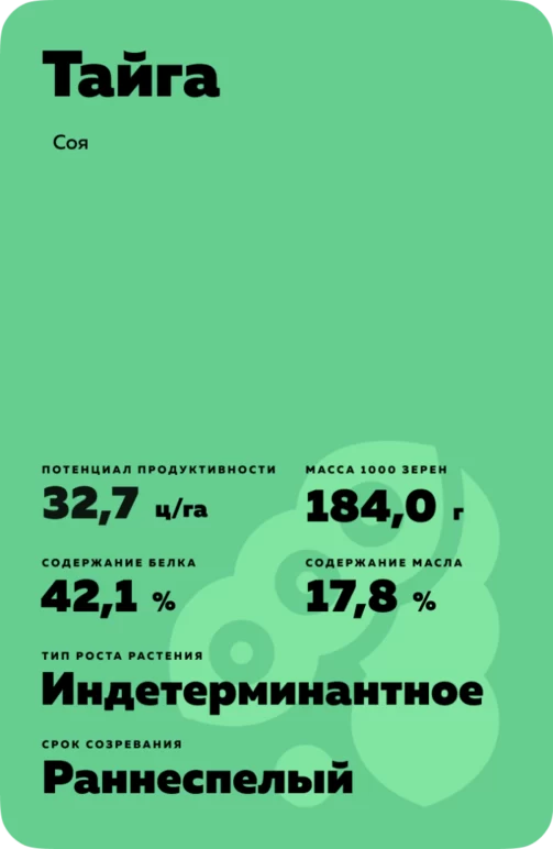 Тайга