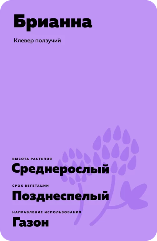 Брианна (BRIANNA)
