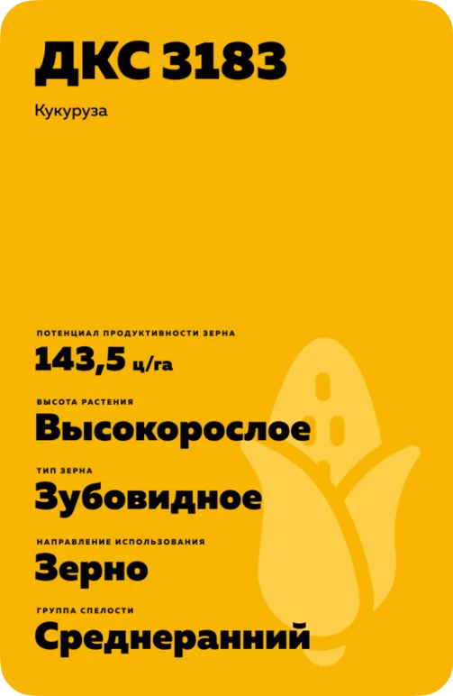 ДКС 3183 гибрид кукурузы