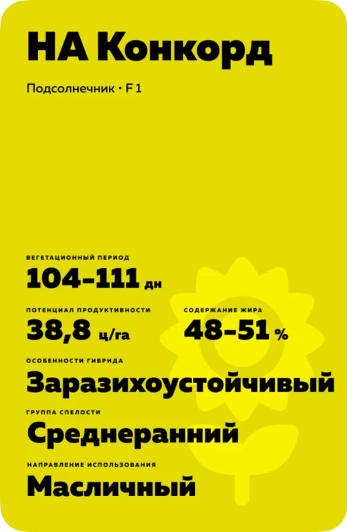 НА Конкорд (NA KONKORD) подсолнечник