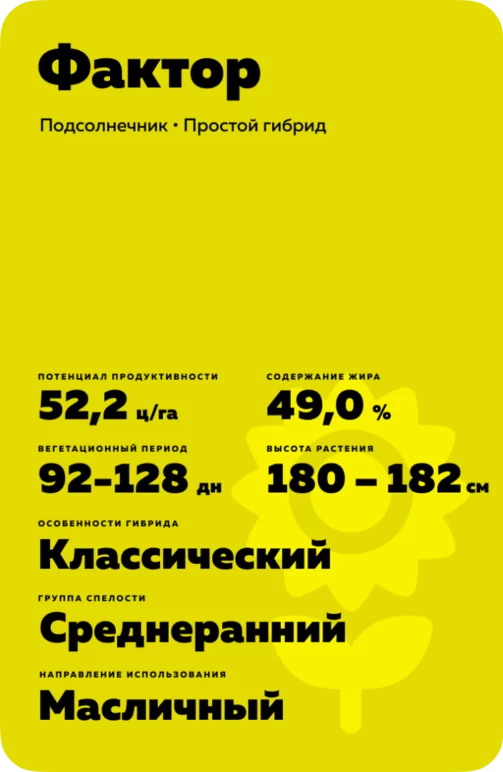 Фактор - гибрид подсолнечника ( Helianthus annuus L.).