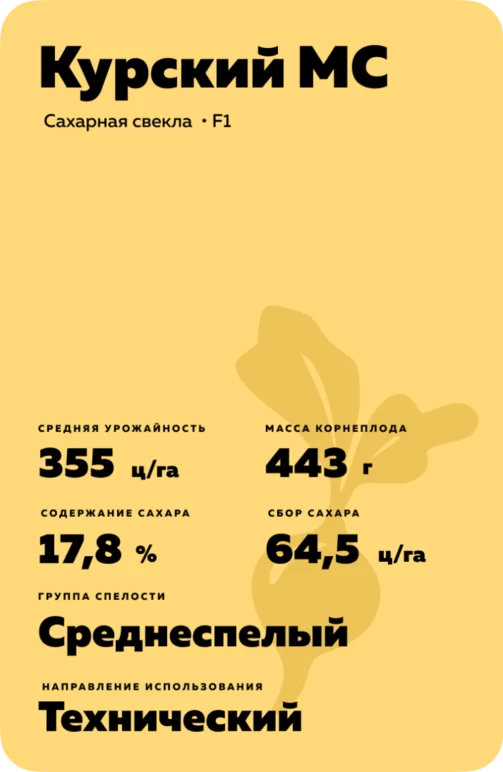 Курский МС гибрид сахарной свеклы