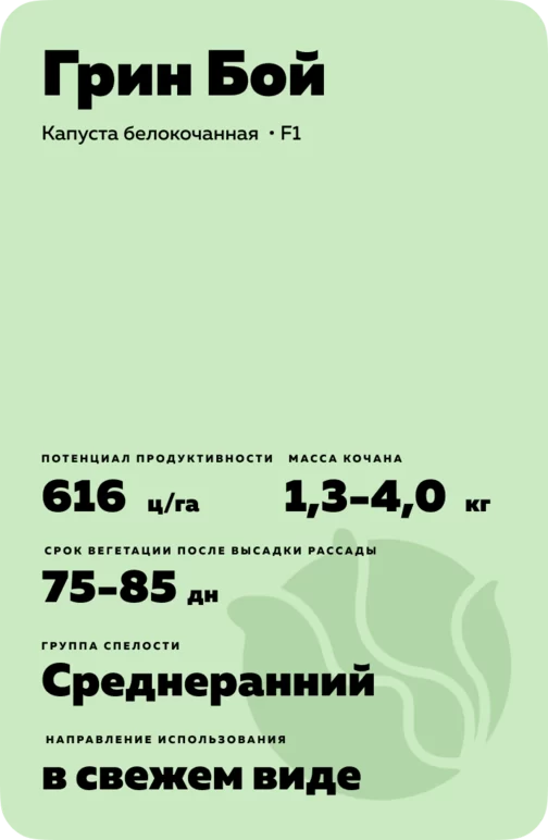 Грин Бой (GREEN BOY) гибрид капусты белокочанной