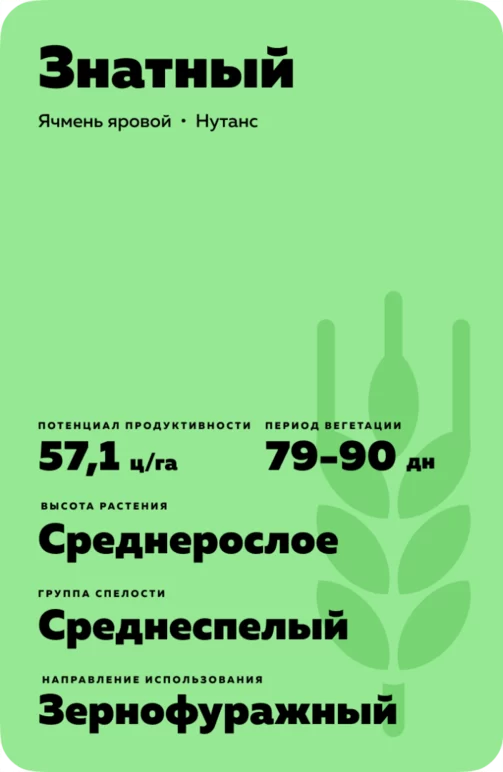 Знатный