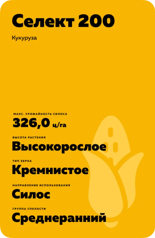 Селект 200 гибрид кукурузы