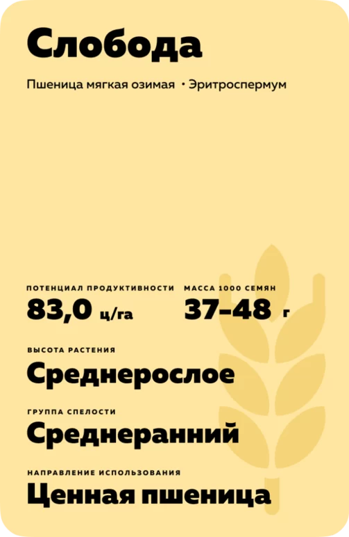 Слобода