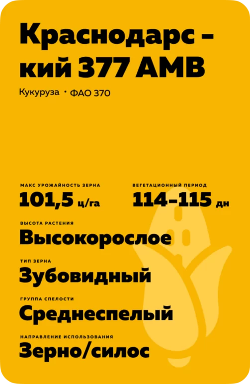 Краснодарский 377 АМВ