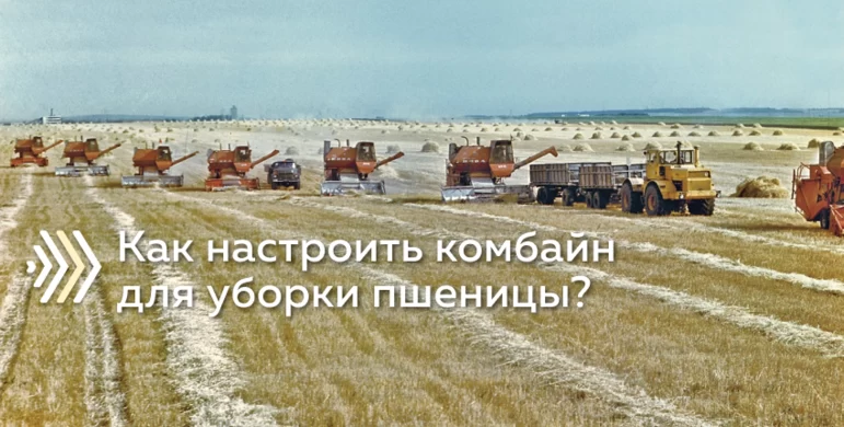 Уборка пшеницы начинается почти по всей России!
