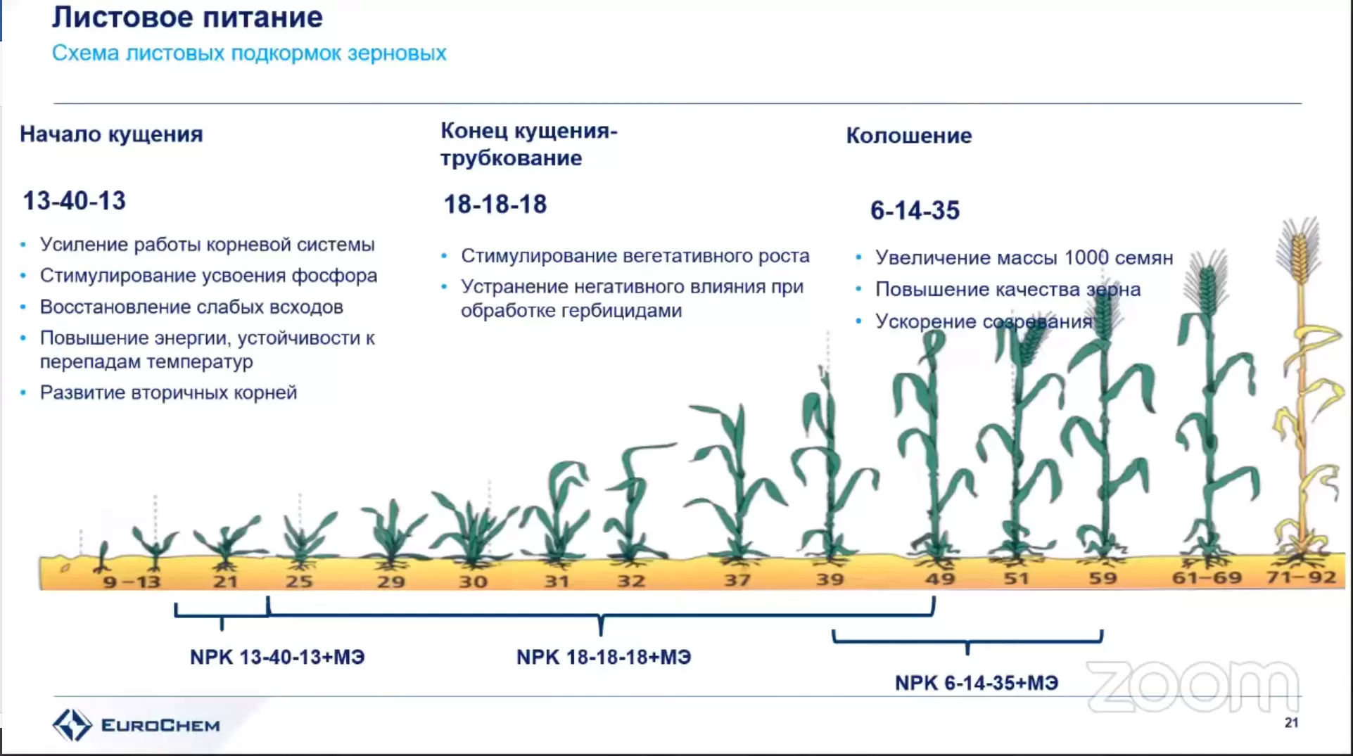 Какое комплексное удобрение вносить при выращивании картофеля?