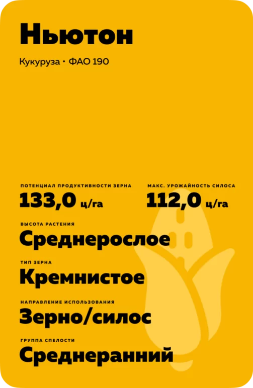 Ньютон гибрид кукурузы