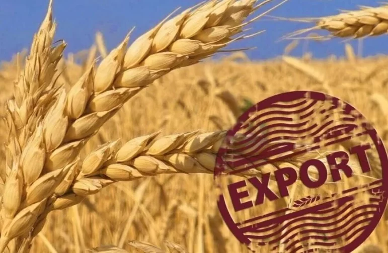Российский фермер поддержит экспорт Казахстана