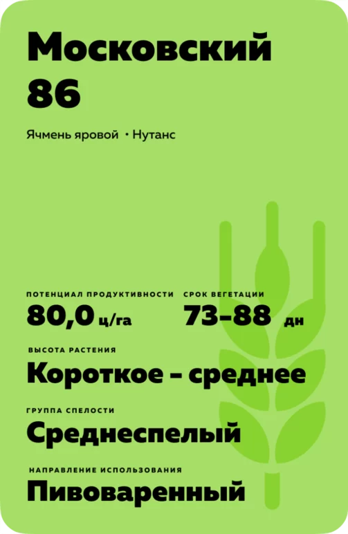 Московский 86 сорт ярового ячменя