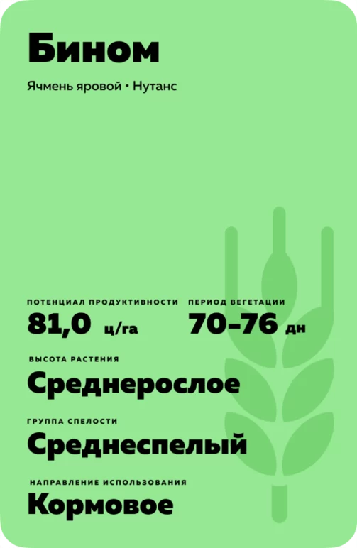Бином сорт ячменя ярового