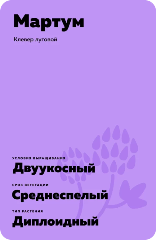 Мартум