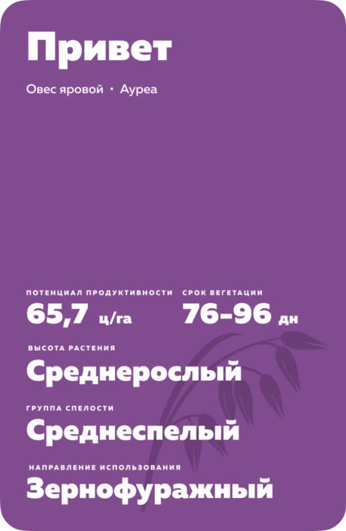 Привет сорт овса ярового