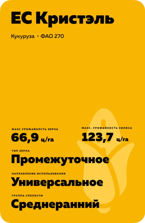 ЕС Кристэль