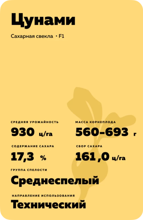Цунами