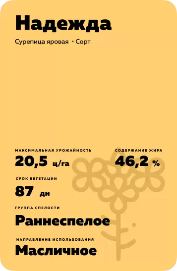 Надежда