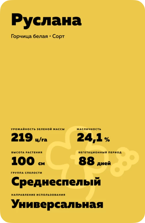 Руслана
