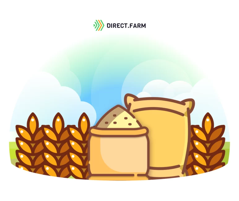 Сорта яровой пшеницы Омского АНЦ