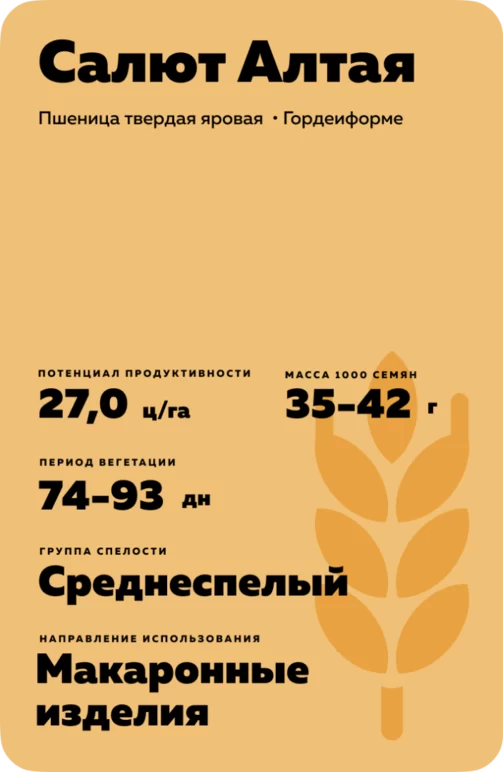 Салют Алтая