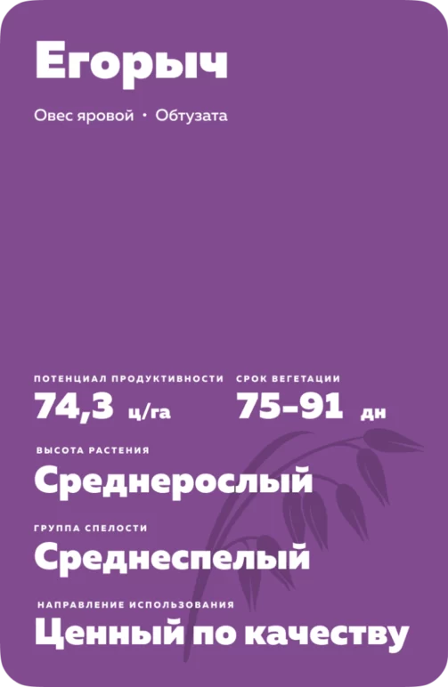 Егорыч сорт овса ярового