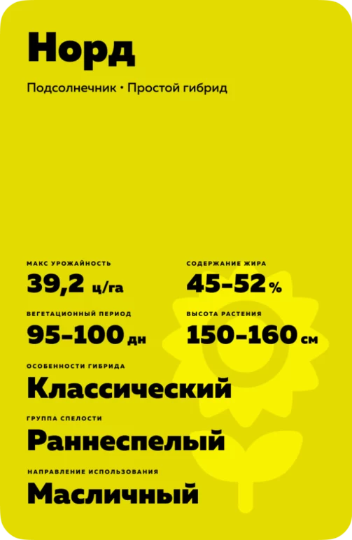 Норд - сорта и гибриды подсолнечника. Характеристики и отзывы