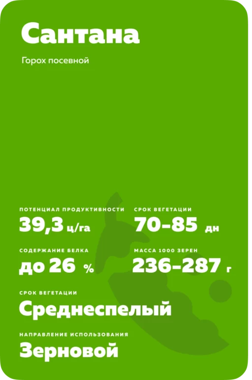 Сантана (SANTANA)