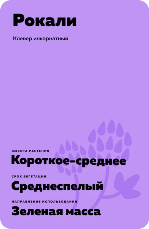Рокали