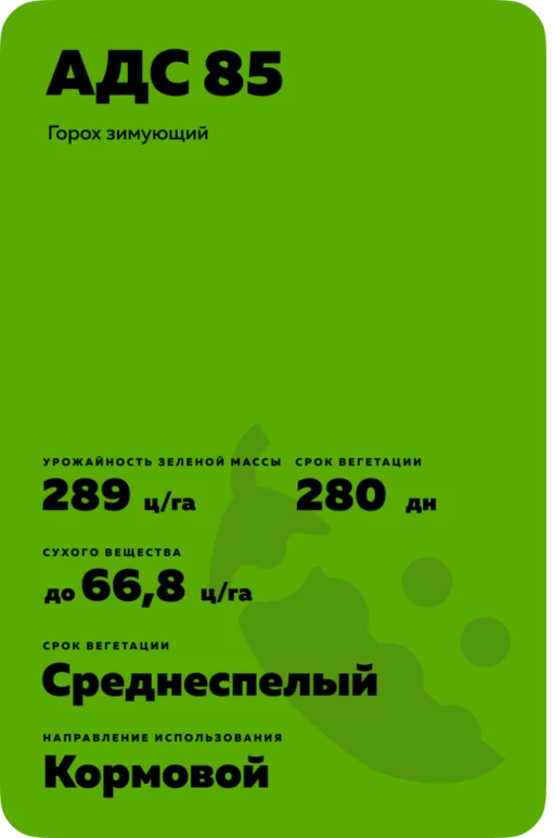 АДС 85 горох зимующий