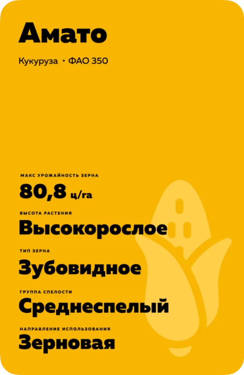 Амато ® -  гибрид кукурузы ( Zea mays L.).