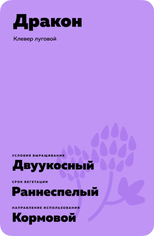 Дракон